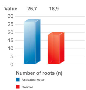 OET study root formation significant increased